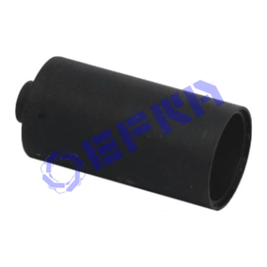 INTRODUTTORE PARAOLI CAMBI ZF