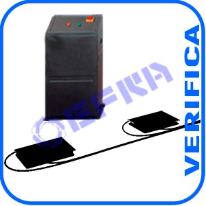 VERIF. PERIOD. PROVAGIOCHI AUTO